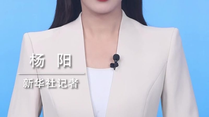 政务云服务按需采购，如何精准匹配需求？**